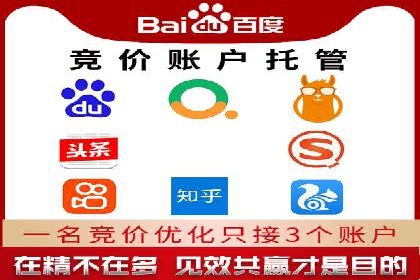 成功托管SEM竞价，实现品牌快速曝光